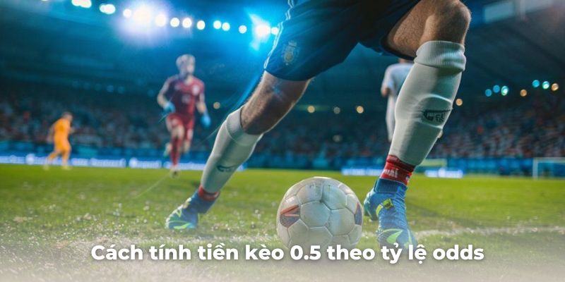 Cách tính tiền kèo chấp 0.5 theo từng tỷ lệ odds khác nhau