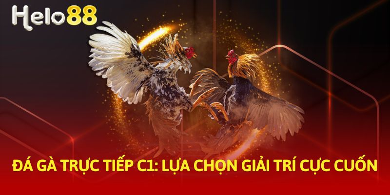 đá gà trực tiếp c1