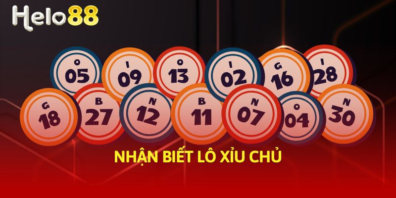 Nhận biết lô xỉu chủ