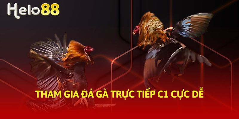 Tham gia đá gà trực tiếp C1 cực dễ